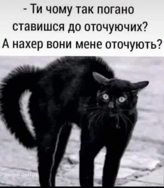 466622645_1640284853366163_2639323777367349598_n.webp