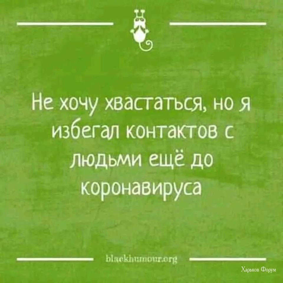 467841b9b9527352dffdc4a8.webp