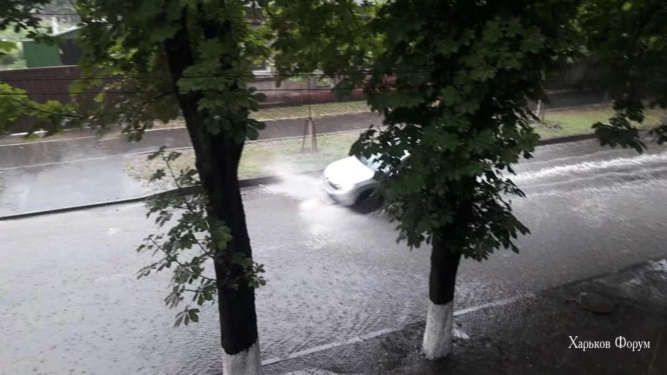 467aee7c038f194385d073.webp