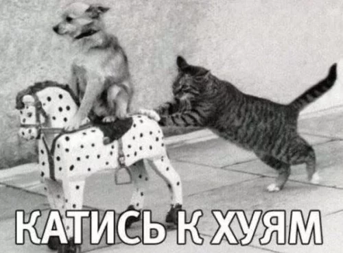 467e398435a3125bb625760f9fff3eae.webp