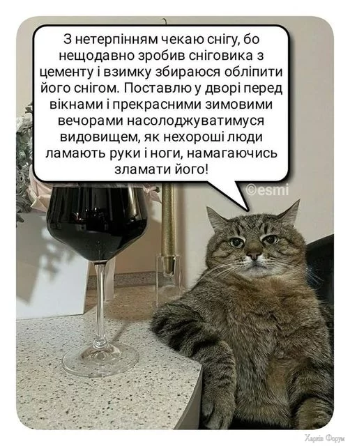 468299119_592128786663485_8680274373465340785_n.webp