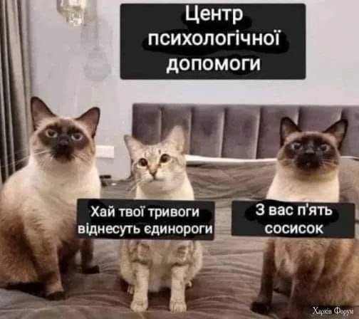 468479111_493215513777774_4616877383231483744_n.webp