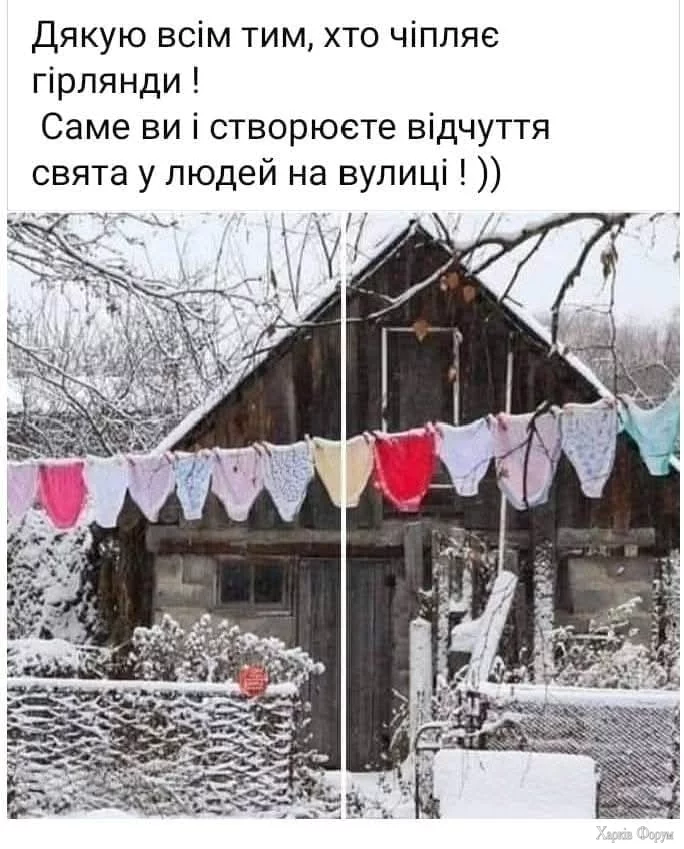 468920929_27713048091675903_4901085798318661312_n.webp