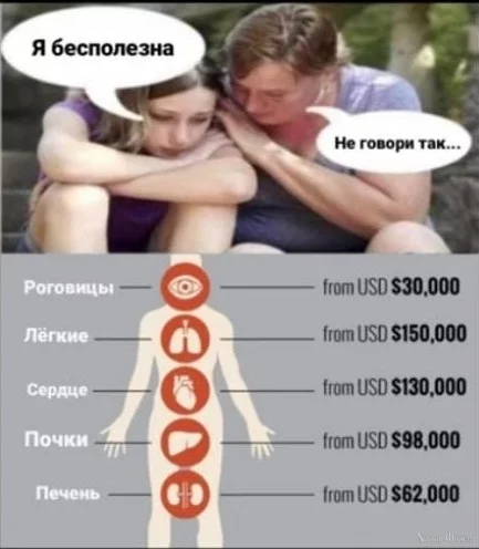 468943969_1566212384261300_7478854943359755048_n.webp
