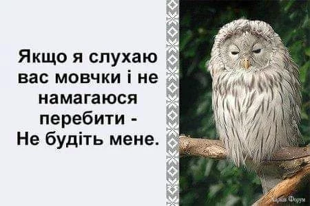 469030960_1172745407541274_5782334240594056435_n.webp