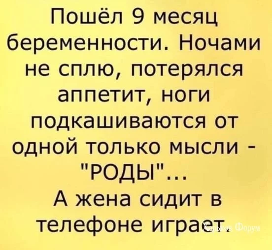 4693af704a72546619f.webp