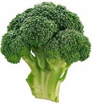 46956566_brokkoli.webp