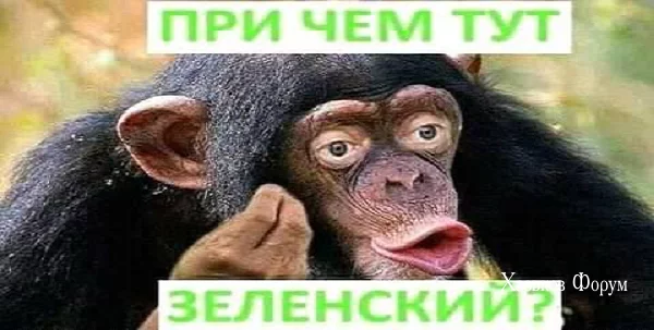 46a4a4a8d2ead161.webp