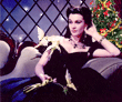 46b07d3559e743e3a70165000a9432fd.gif