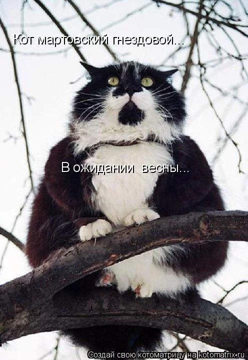 46b75f1f-20fa-459b-9719-960ffc459c57.webp