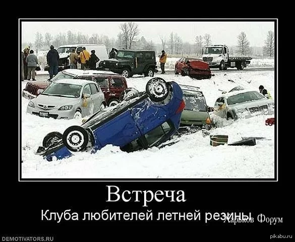 46bede10ddb3bb3d8f043440.webp