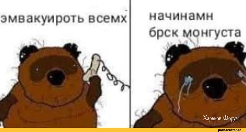46d3e5faec26c583f92a27.jpg