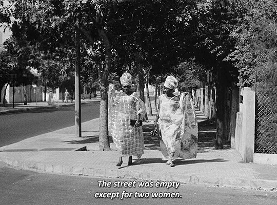 46d49dbbc34566c5c0fcb4e49d4b98d9a4bb80e4.gif