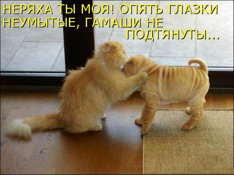 46d4e06855265ec739c19de97767d31d.webp