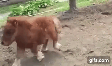 46d6bb9f1bfb22f677a80fa.gif