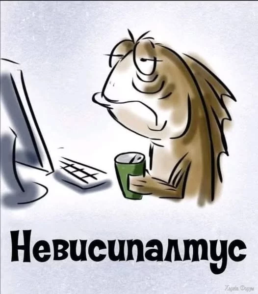 470139085_453933834420915_2881130652411135262_n.webp
