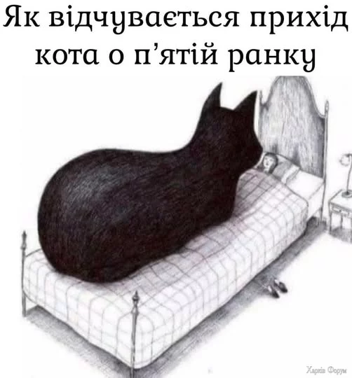 470183571_8435722036537487_8362904698939460021_n.webp