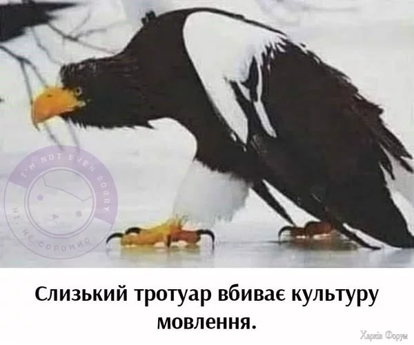 470210127_1108789817705102_440867958100902230_n.webp