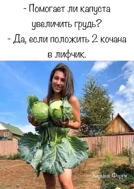 471061c8fe333a8526.webp