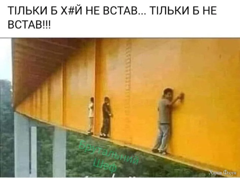 471144847_122177291198097938_5263947401490368121_n.webp