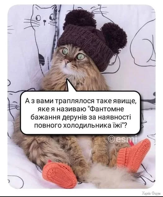 471478808_1131656945077569_1973786665362962770_n.webp
