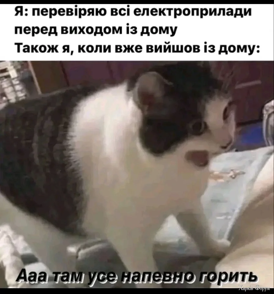471582888_643204521366684_1116286883360204995_n.webp