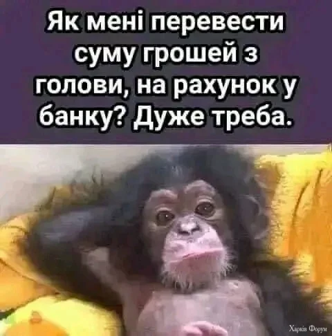 471681806_642819554738514_8501727631845463267_n.webp