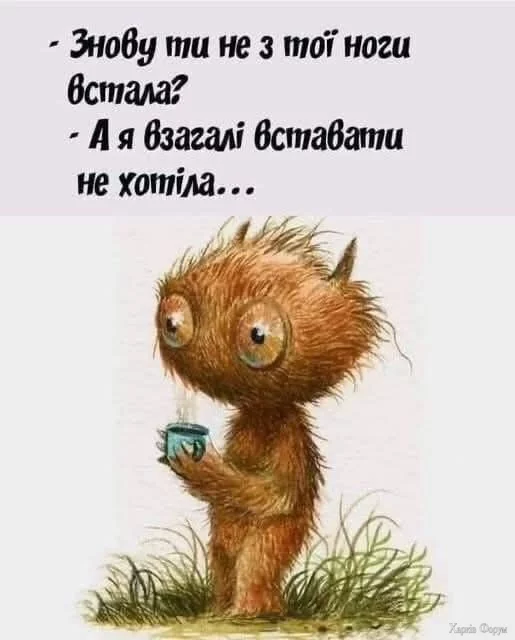 472101260_1161439112011028_748572784995592588_n.webp