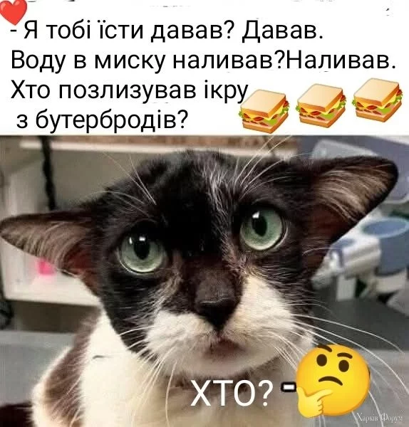 472110160_1793634798091044_5941793765238297498_n.webp