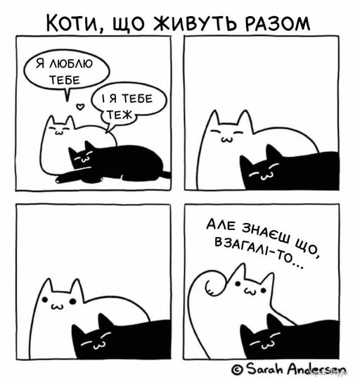 472572357_1015262343965680_7422662640751096751_n.webp