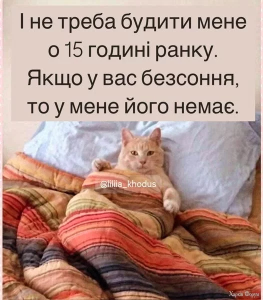 472670125_9026137684172304_427925942301585135_n.webp