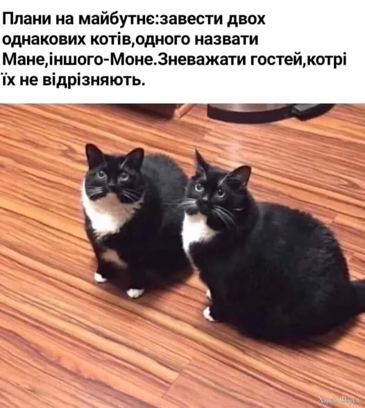 472680447_624119800146692_1317067977100691854_n.webp