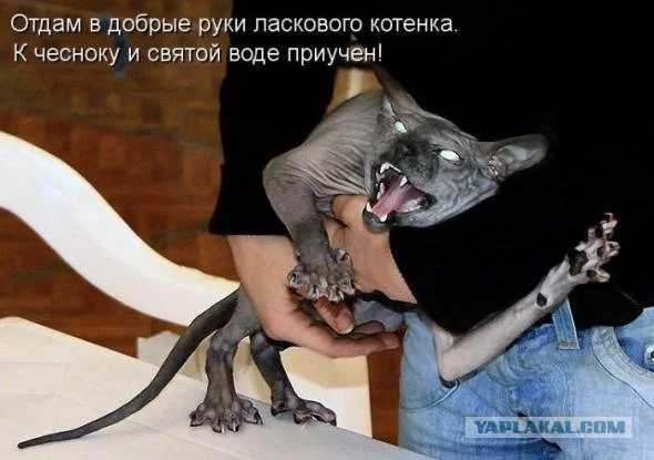4733315.webp