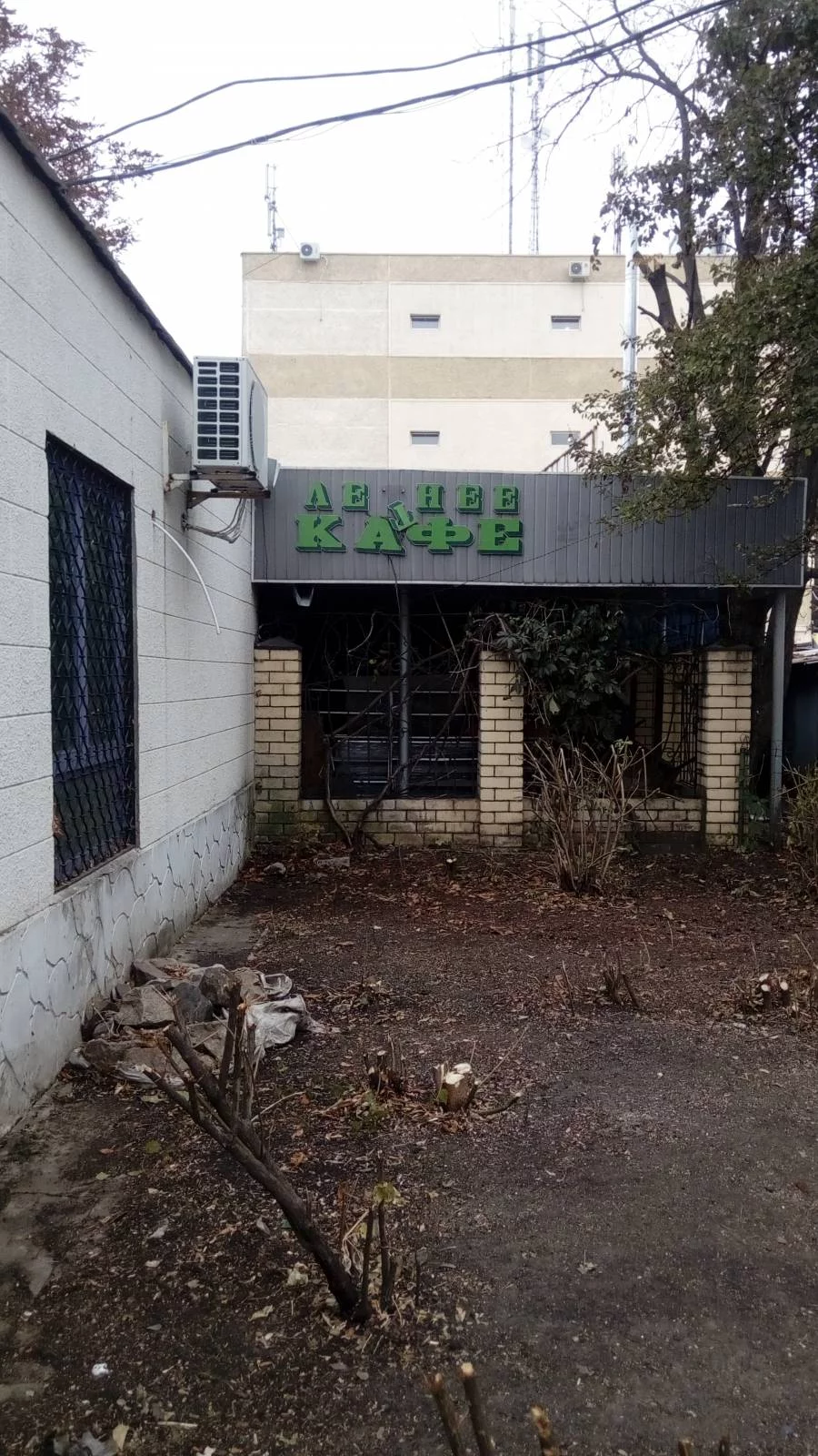 473369989.webp