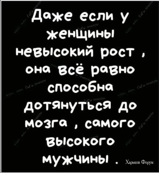 47417a13e80b96ca129c.webp