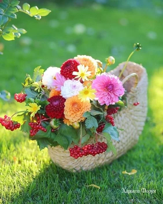 474a5d977a8f1102e3a.webp