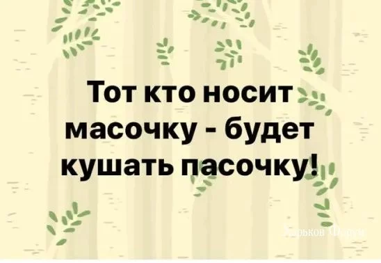474cd1c191a8fb6b6982694.webp