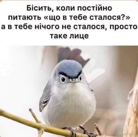 475084608_644289158274203_6712950793390843761_n.webp