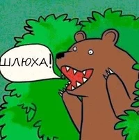 4753552.webp