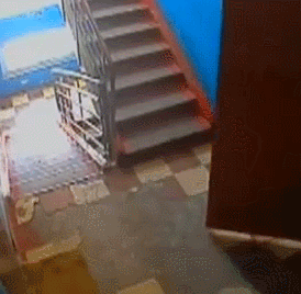 475836_original.gif