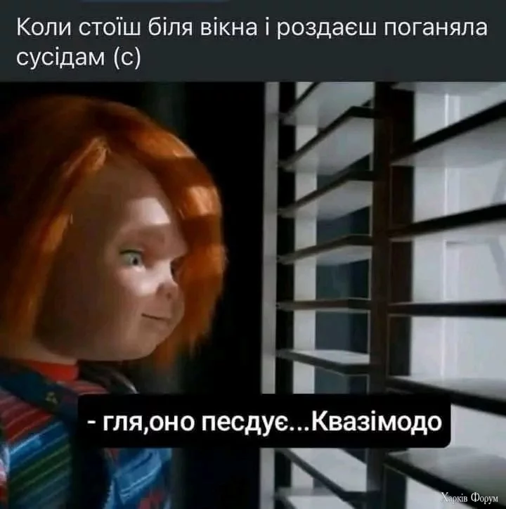475839114_122210075378223727_7940125423291943954_n.webp