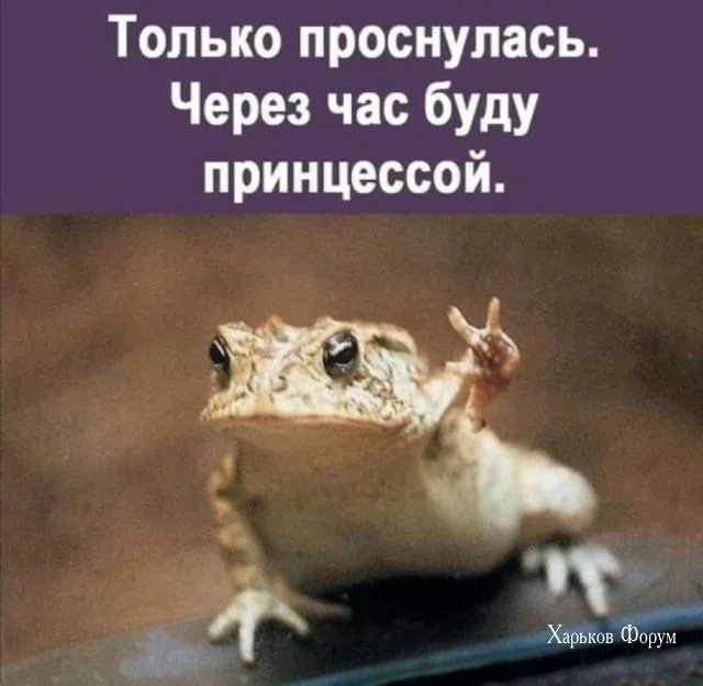 475839a4898293c5.webp