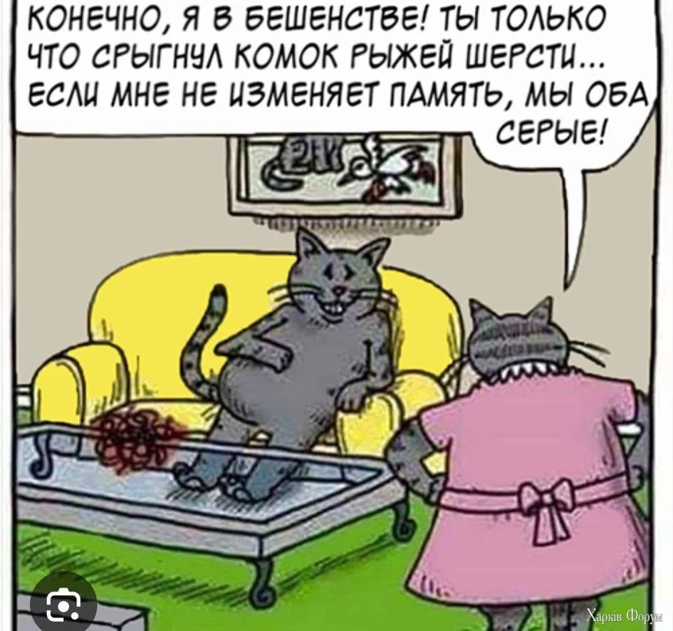 475957238_9205941889441280_6433908893217057772_n.webp