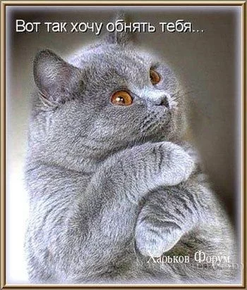 4762da2a18649973.webp