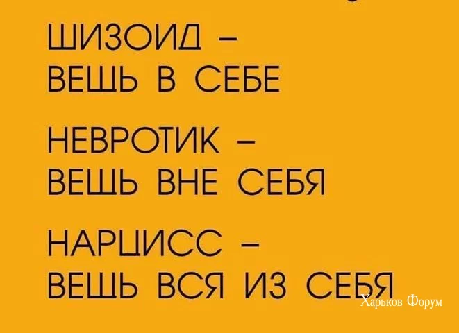 4774e3f4c78467c5.webp