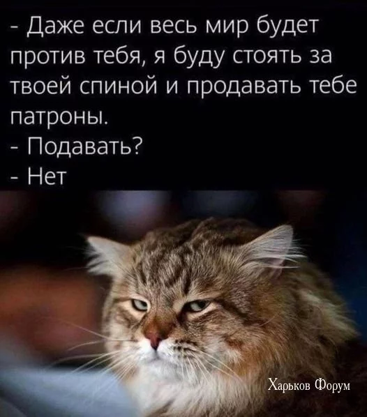 4775e20da22d1f35fd5.webp