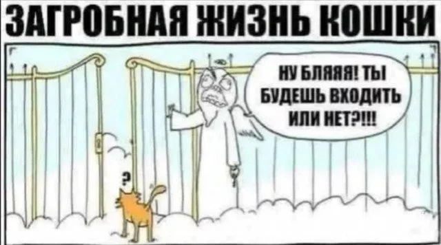 477630b53c5aaa638eee.webp