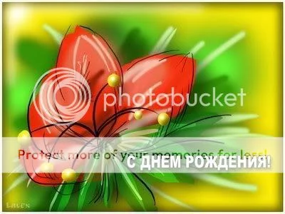 47848060_x_e576670d.webp