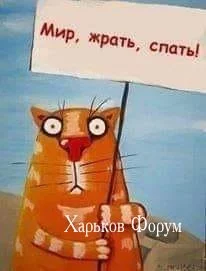 4784c2c213bec3f5c8439105.webp