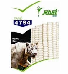 4794-maize-250x250.webp